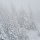 Illustration for article titled Mt. Si - Simplify and Add Lightness